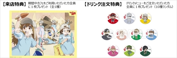 はたらく細胞カフェ