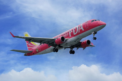 富士山や伊豆半島を遊覧飛行