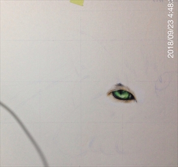 色鉛筆で描いたネコさん