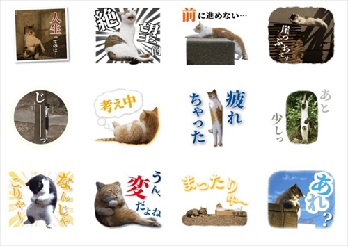 残念すぎるネコLINEスタンプ