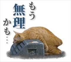 残念すぎるネコLINEスタンプ
