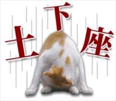 残念すぎるネコLINEスタンプ