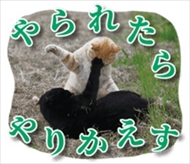 残念すぎるネコLINEスタンプ