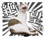 残念すぎるネコLINEスタンプ