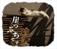 残念すぎるネコLINEスタンプ