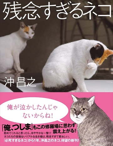 残念すぎるネコLINEスタンプ
