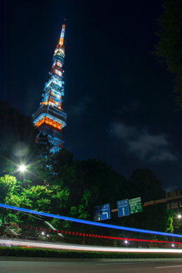東京タワー　夜景　空車　タクシー　夜景全景