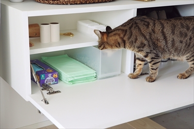 猫がよろこぶ掃除・片づけ