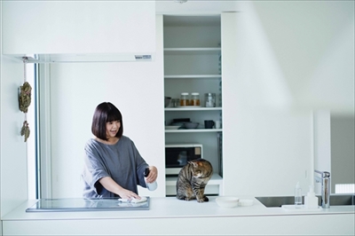 猫がよろこぶ掃除・片づけ