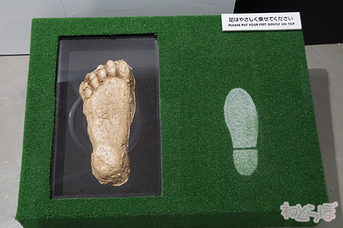 ムー ムー展 UFO