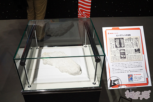 ムー ムー展 UFO