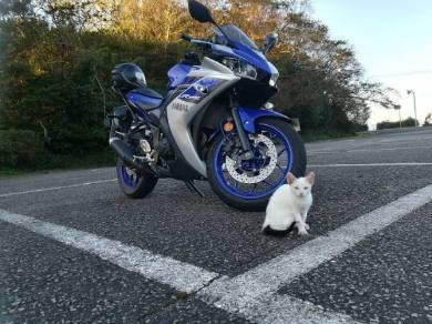 ネコ整備士 YZFR25