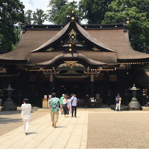 トリップアドバイザー