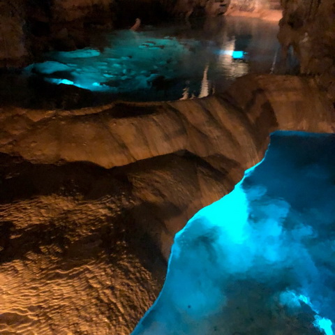 トリップアドバイザー