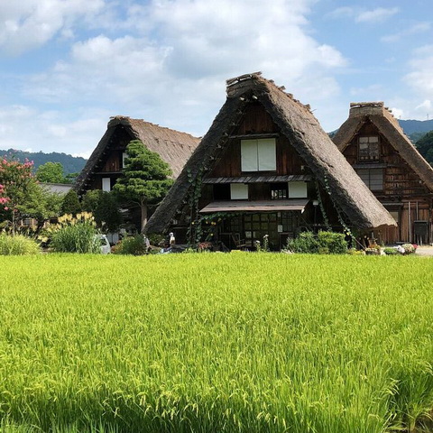 トリップアドバイザー