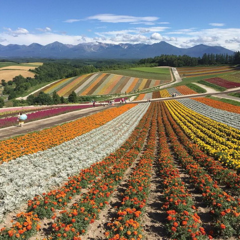 トリップアドバイザー