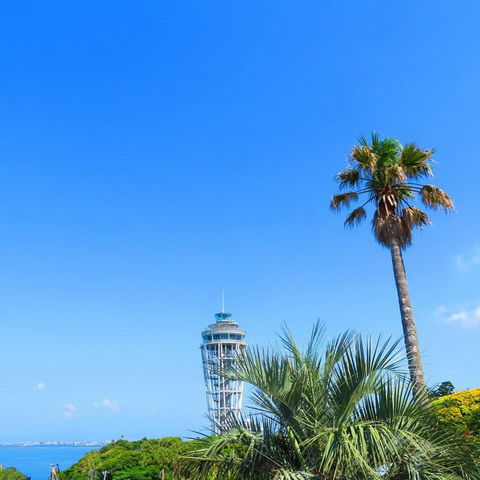 トリップアドバイザー