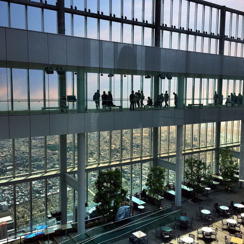 トリップアドバイザー