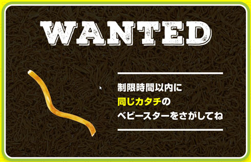 ベビースターをさがせ！！