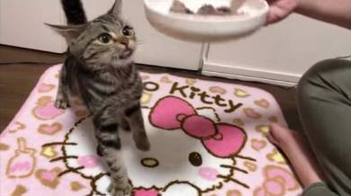 ちょり 焼肉大暴走