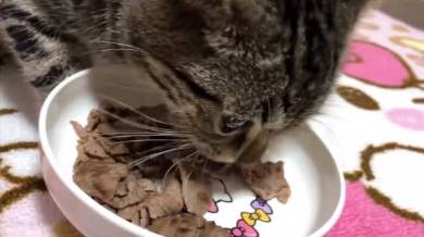 ちょり 焼肉大暴走