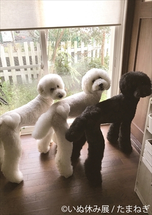 いぬ休み展