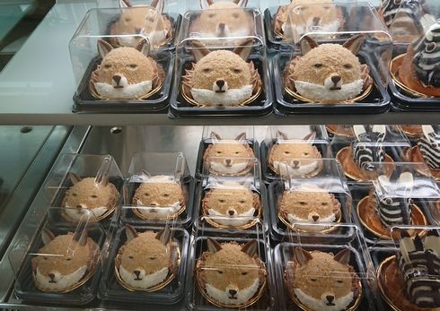 スナギツネ　スイーツ　パルコ　吉祥寺PARCO　ぬまがさワタリの絶滅どうぶつ図鑑展　写真　じわる　陳列　大量