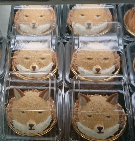 スナギツネ　スイーツ　パルコ　吉祥寺PARCO　ぬまがさワタリの絶滅どうぶつ図鑑展　写真　じわる　陳列　大量