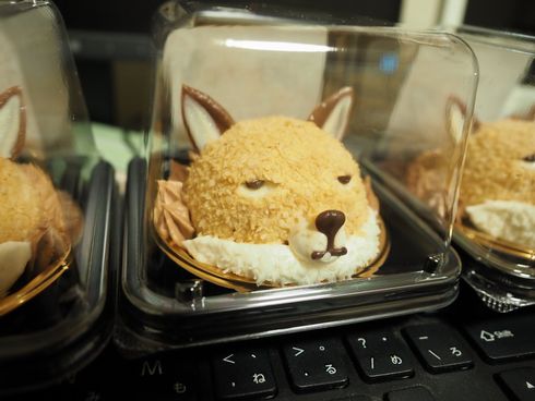 スナギツネ　スイーツ　パルコ　吉祥寺PARCO　ぬまがさワタリの絶滅どうぶつ図鑑展　写真　じわる　陳列　大量