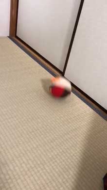 アンパンマン おもちゃ 思ってたのと違う 動き 跳ねる 気持ち悪い