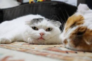 ライ君 いとさん