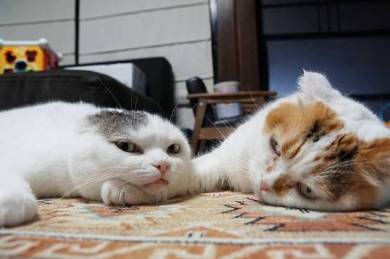 ライ君 いとさん