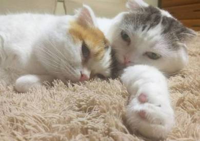 ライ君 いとさん