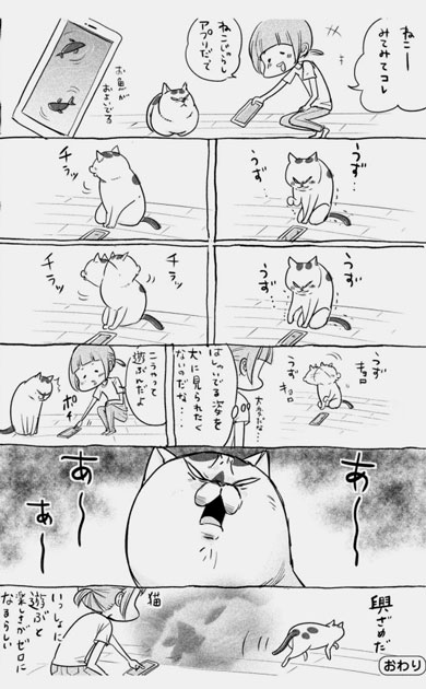漫画 犬と猫どっちも飼ってると毎日たのしい 松本ひで吉 単行本 2巻