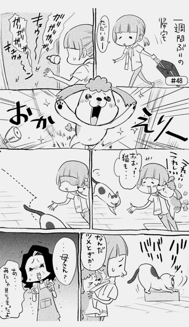 漫画 犬と猫どっちも飼ってると毎日たのしい 松本ひで吉 単行本 2巻