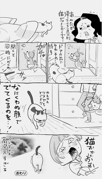 漫画 犬と猫どっちも飼ってると毎日たのしい 松本ひで吉 単行本 2巻