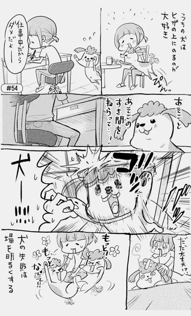 漫画 犬と猫どっちも飼ってると毎日たのしい 松本ひで吉 単行本 2巻