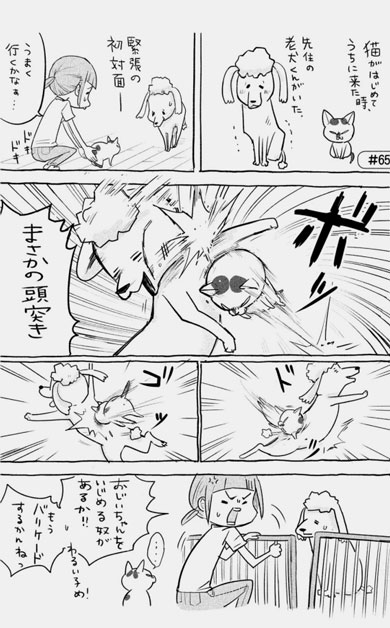 漫画 犬と猫どっちも飼ってると毎日たのしい 松本ひで吉 単行本 2巻