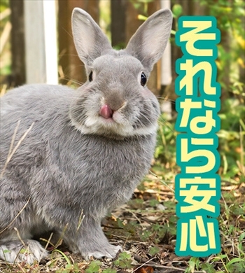 うさぎのふうた