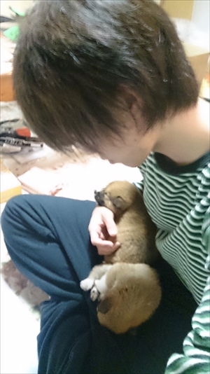 懐いてくるワンちゃん