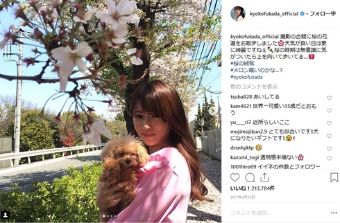 深田恭子 ほしのあきよりによって小顔すぎる2人が後ろに 福王寺彩野 トイプードル 犬