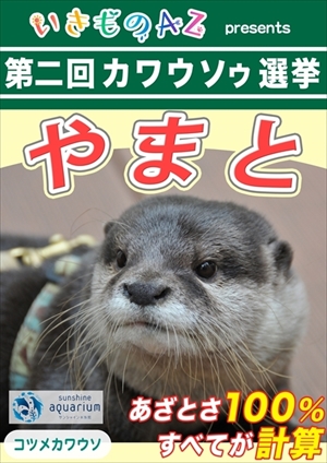 カワウソゥ選挙
