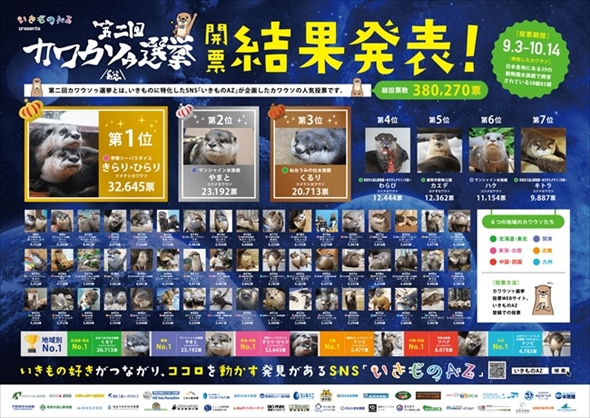 カワウソゥ選挙