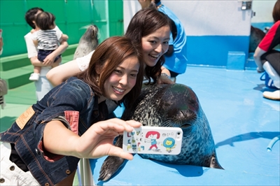 カワウソゥ選挙