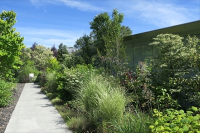 トリップアドバイザー美術館・博物館ランキング