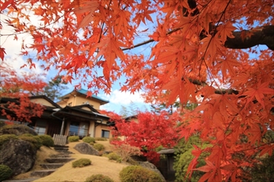 トリップアドバイザー美術館・博物館ランキング