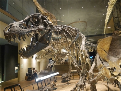 トリップアドバイザー美術館・博物館ランキング