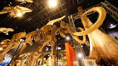 トリップアドバイザー美術館・博物館ランキング