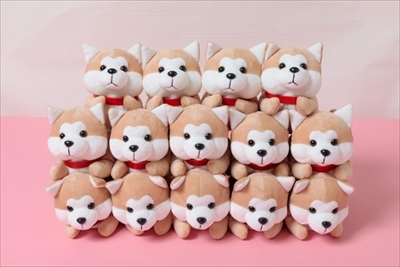 秋田犬ぬいぐるみポーチBOOK