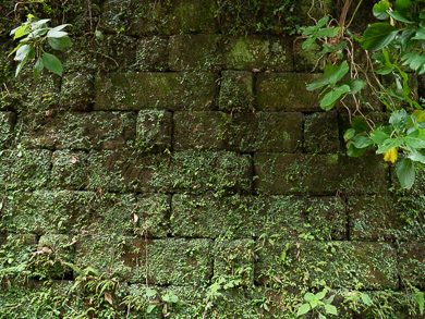 横須賀　トンネル　トンネルカード　平沼義之　梅田隧道　トンネル内部　鉄板